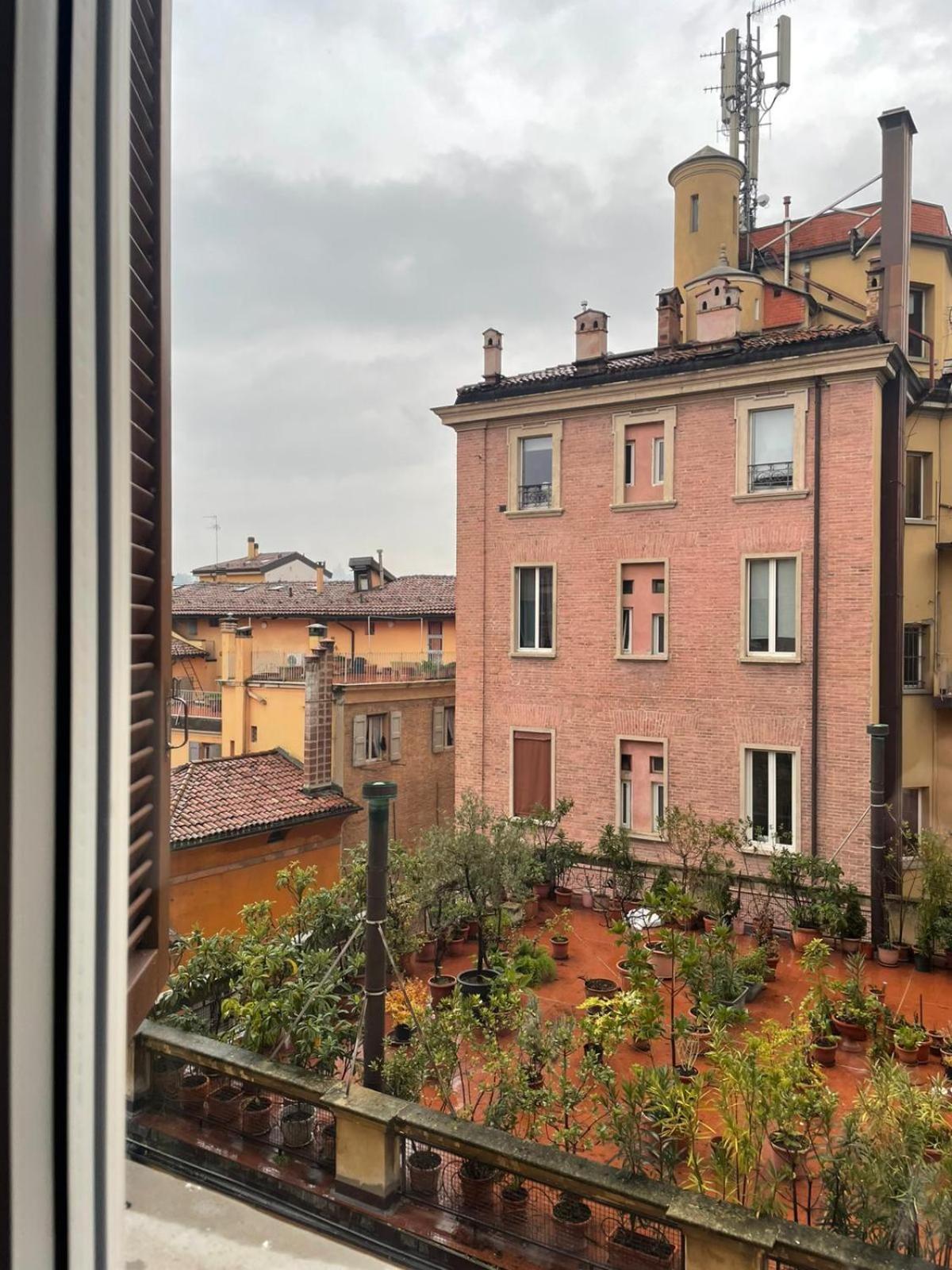 Le Suites Dell'Edera 博洛尼亚 外观 照片